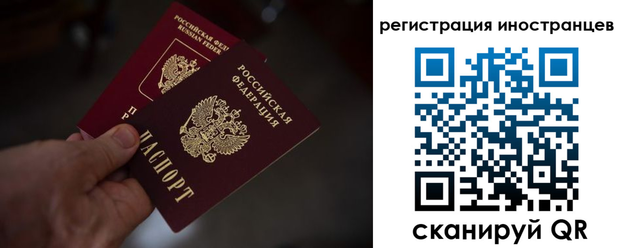 прописка от собственника в Элисте